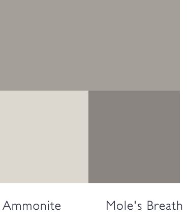 Colour palette - Worsted and ammonite with a pink bed Ammonite Colour Scheme, Farrow And Ball Ammonite Colour Scheme, Worsted Farrow And Ball, Ammonite Farrow And Ball, Farrow And Ball Kitchen, Pink Bed, Chalk Paint Projects, Hallway Design, Farrow And Ball