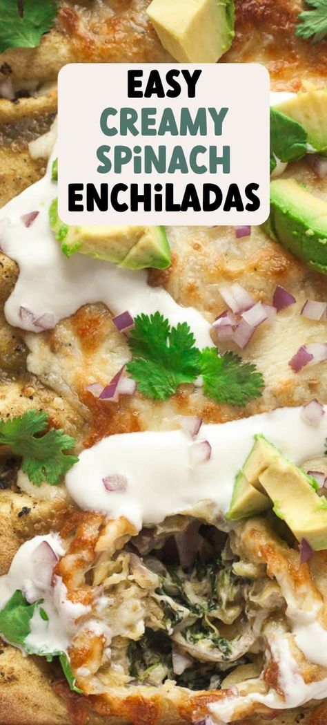 Creamy Spinach Enchiladas, Spinach Enchiladas Verde, Spinach And Cream Cheese Enchiladas, Spinach Enchiladas With White Sauce, Spinach And Cheese Enchiladas, Cream Cheese Enchiladas, Green Enchiladas, Green Chili Chicken Enchiladas, Enchilada Sauce Easy