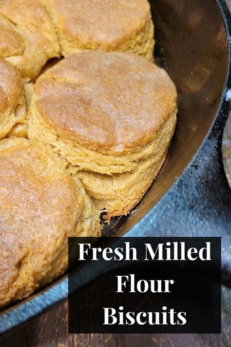 a cast iron skillet with baked fresh milled flour biscuits Fresh Milled Flour, Wheat Flour Recipes, Whole Wheat Biscuits, Spelt Recipes, Flour Biscuits, Wheat Biscuits, Einkorn Recipes, Wheat Bread Recipe, Buttermilk Biscuits Recipe