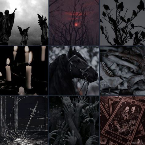 Knight Moodboard, Dark Mood Board, Dark Brown Color Palette, Heist Aesthetic, Fantasy Moodboard, Black Moodboard, Dark Academia Room Ideas, Paranormal Aesthetic, Adopt Idea