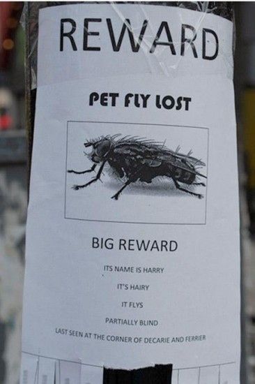 <b>I hope these people find what they're looking for.</b> Funny Signs Fails, Obvious Plant, Funny Sign Fails, Karl Pilkington, Animal Signs, April Fools Pranks, Losing A Pet, School Humor, Funny Love