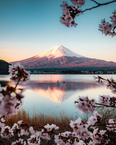 Volcano Pictures, Gunung Fuji, Mount Fuji Japan, Japan Cherry Blossom, Fuji Mountain, Monte Fuji, Japan Landscape, Mont Fuji, Adventure Photographer