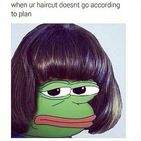 Seven DIY Hair Fails That Will Make You Cringe, Then Laugh Haircut Memes, Bob Meme, Hair Meme, Hair Fails, Black Bob Hairstyles, Frog Meme, Bad Haircut, Bob Haircut With Bangs, Epic Fails Funny