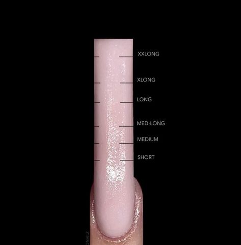 Nails Length Chart, Nail Length Chart, Nail Shape Chart, Self Nail, Nails Length, Acrylic Nails At Home, Home Nail Salon, La Nails, Exotic Nails