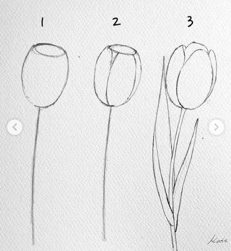 Flower Drawing Tutorials, Flower Art Drawing, Easy Doodles Drawings, Easy Drawings Sketches, Cute Doodles Drawings, Art Inspiration Painting, Mini Canvas Art, Book Art Drawings, Art Tutorials Drawing