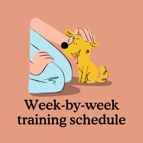 Weekly Puppy Training Schedule Puppy Training Schedule Printable, Crate Training Schedule, Crate Training Puppy Schedule, Puppy Feeding Schedule, Puppy Training Guide, Puppy Schedule, Puppy Training Treats, Funny Dog Toys, Puppy Training Schedule