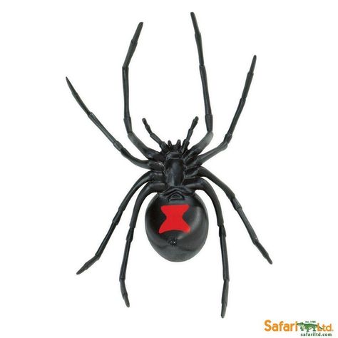 Black Widow Spiders Wallpapers - Wallpaper Cave Spider Toy, Wolf Spider, Widow Spider, Black Widow Spider, Purple Owl, Hd Wallpaper 4k, Iphone Black, Incredible Creatures, Flower Art Images