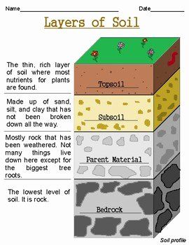 Layers Of soil Worksheet Unique soil Quiz by Alison Crawford – Chessmuseum Template Library Layers Of Soil Anchor Chart, Soil Worksheet, Layers Of Soil, Praxis Test, Summative Test, Grade 3 Science, Soil Science, Earth Layers, Soil Texture