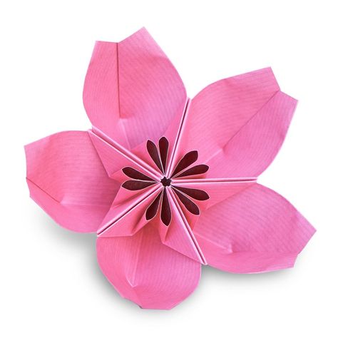 Origami Sakura, Origami Artist, Origami And Kirigami, Origami Design, How To Fold, Kirigami, Kraft Paper, Cherry Blossom, Design Details