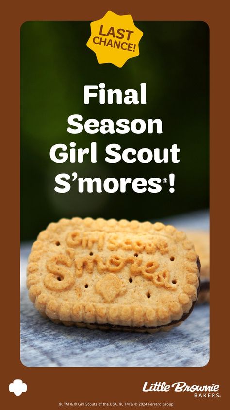 Girl Scout S’mores Retirement | Little Brownie Bakers Girl Scout Cookies 2025, Cookie Business, Daisy Girl Scouts, Story Activities, Recipe Girl, Daisy Girl, Girl Scout Cookies, Girl Scout, Girl Scouts