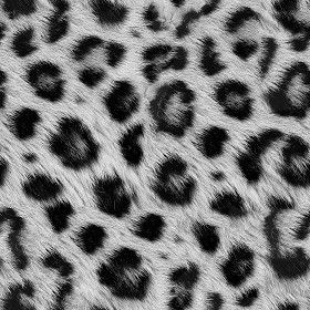 Textures Texture seamless | Gray leopard faux fake fur animal texture seamless 09561 | Textures - MATERIALS - FUR ANIMAL | Sketchuptexture Fabric Texture Seamless, Mind Map Art, Texture Sketch, Animal Texture, Cheetah Wallpaper, Human Figure Sketches, Fur Animal, Jaguar Print, Texture Drawing