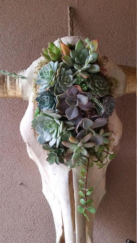 Skull With Succulents, Skull Succulent, Animal Skull Decor, Cow Skull Decor, Cow Skulls, Gothic Garden, Succulent Garden Diy, Gold Horns, Succulents Decor