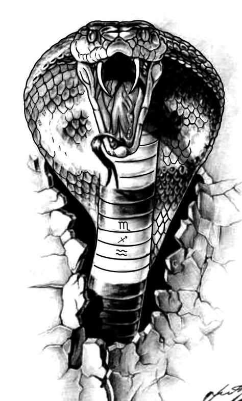 Snake Sketches, King Cobra Tattoo, Tattoo On The Shoulder, Snake Sketch, King Cobra Snake, Cobra Tattoo, Cobra Art, Petit Tattoo, Snake Drawing