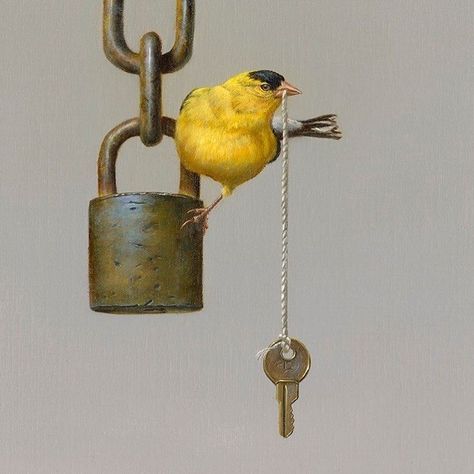 Jhenna Quinn Lewis | The Theft Waves Of Life, Bird Illustrations, Oil Painting Inspiration, Bird Pictures, Bird Illustration, Wildlife Art, Happiness Is, Birds Painting, Whimsical Art