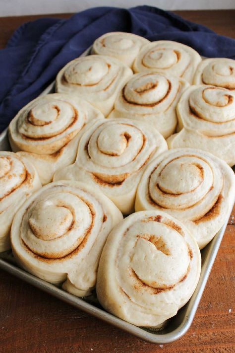 Cinnamon Rolls With Potato Dough 11 Cinnamon Roll Recipe With Mashed Potatoes, Potato Dough Cinnamon Rolls, Cinnamon Rolls With Potato, Mash Potato Cinnamon Rolls, Potato Cinnamon Rolls Homemade, Flakey Cinnamon Rolls Homemade, Cinnamon Rolls With Mashed Potatoes, Cinnamon Rolls Made With Mashed Potatoes, Non Yeast Cinnamon Rolls