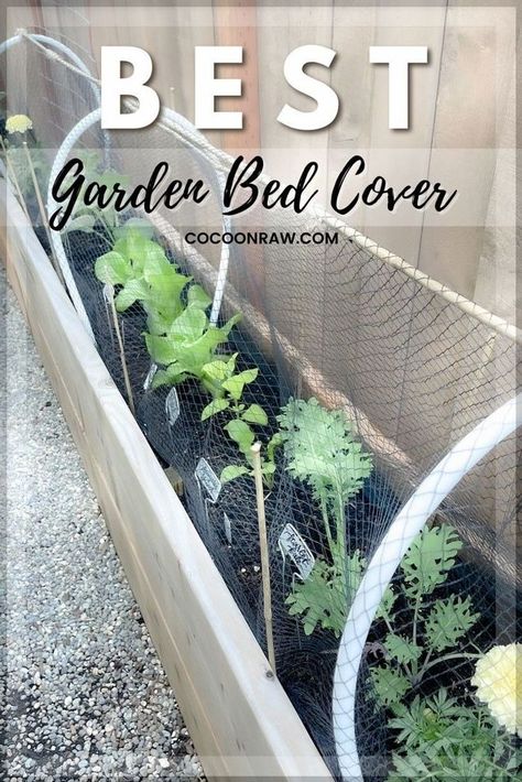 Wow! We have been working on expanding our kitchen garden and this Stylish Garden Bed Cover design have helped us to grow so much. It makes me excited to be able to grow vegetables without… More Easy Diy Garden Bed, Green House Aesthetic, Garden Bed Cover, Easy Garden Beds, Garden Mesh, Garden Bed Layout, Small Urban Garden, Diy Garden Bed, Bed Cover Design