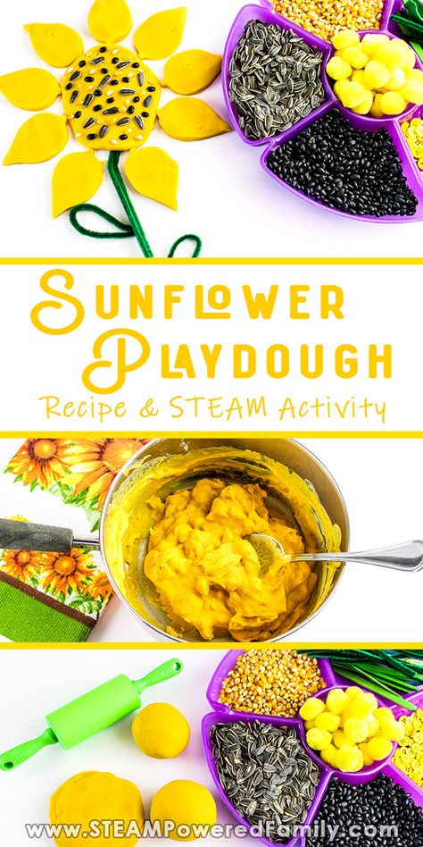 Playdough Ideas, Easy Homemade Playdough Recipe, Play Dough Recipe, Steam Activity, Homemade Playdough Recipe, Toddler Class, Playdough Activities, Nursery Activities, Playdough Kits