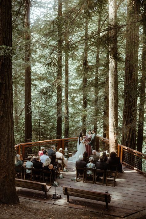 A romantic elopement wedding at the Redwood Deck in Portland Oregon, with a first dance under a waterfall and a candlelit dinner. Wedding In Redwood Forest, Elope In The Woods, Oregon Winter Wedding, Forest Wedding Venues Oregon, Elope Vs Wedding, Capella By The Sea Oregon, Pnw Elopement Locations, Washington Elopement Locations, Hoh Rainforest Elopement