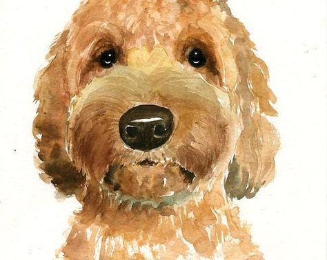 Golden Doodle Watercolor Painting, Goldendoodle Painting Easy, Watercolor Poodle Painting, Diy Gifts Painting, Easy Watercolor Dog, Dog Watercolor Painting Easy, Cockapoo Painting, Golden Doodle Painting, Golden Doodle Watercolor