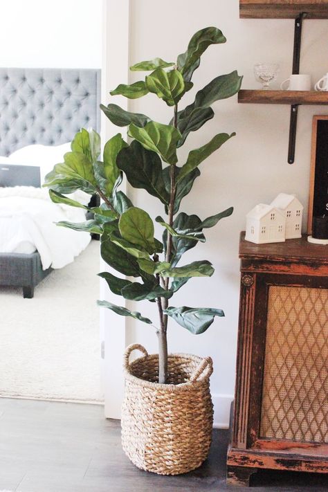 Faux Fiddle Leaf Fig - Perfect tree for apartment living. Click to see more about this perfect little tree from QVC! Faux Fiddle Leaf Tree, Fig Leaf Tree, Fiddle Leaf Tree, Fake Plants Decor, Fiddle Leaf Fig Tree, Plant Decor Indoor, Bedroom Plants, Fiddle Leaf, House Plants Decor