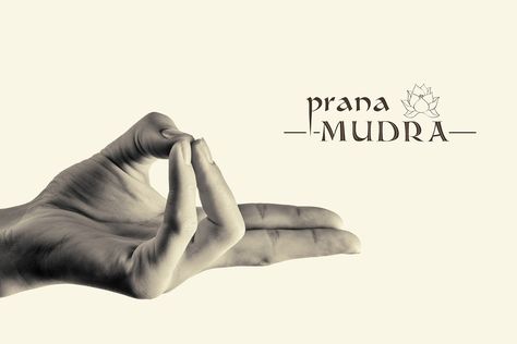 Prana Mudra : A Step by Step Guide, Benefits & Precaution Surya Mudra, Vayu Mudra, Prana Mudra, Prithvi Mudra, Flying Lotus, Gyan Mudra, Yoga Mudra, Yoga Mudras, Yoga Spirituality