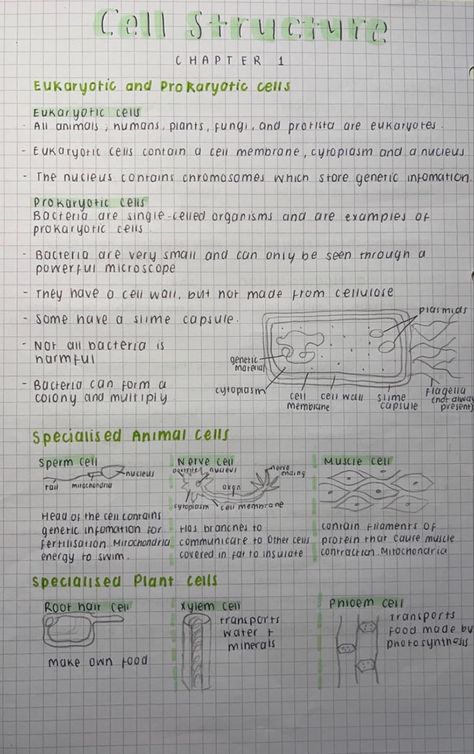 Cell Notes, Prokaryotic Cell, Learn Biology, Science Revision, Biology Revision, Eukaryotic Cell, School Study Ideas, Study Tips For Students, College Notes