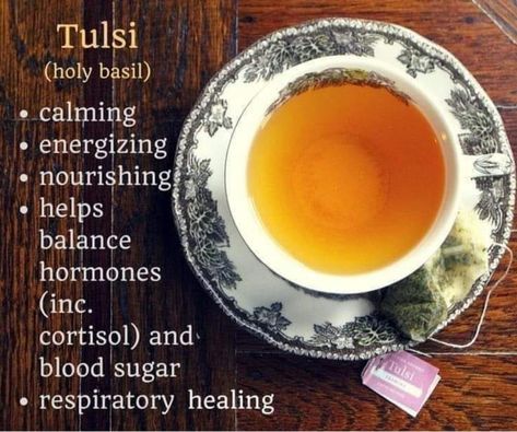 Tea Concoctions, Tulsi Tea Benefits, Witch Cookbook, Herb Bath, Herb Medicine, Basil Tea, Tulsi Tea, Chai Recipe, Herb Recipes