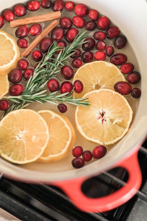 House Smell Like Christmas, Holiday Smells, Christmas Simmer Pot, Smell Like Christmas, Simmer Pots, Cranberry Cinnamon, Simmer Pot Recipes, Simmering Potpourri, Potpourri Recipes