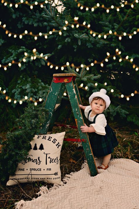 Farm Mini Session, Christmas Mini Sessions Outdoor, Christmas Tree Farm Pictures, Tree Farm Pictures, Christmas Tree Farm Mini Session, Outdoor Christmas Photos, Tree Farm Photo Shoot, Christmas Tree Farm Photo Shoot, Tree Farm Mini Session