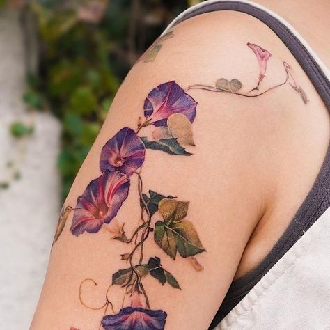 abii_tattoo on September 17, 2023: "Morning glory vine 🌱 Done at @vismstudio 🇺🇸 📧 abii@vismstudio.com #morningglory #vin..." Aftercare Tattoo, Morning Glory Tattoo, Flower Vine Tattoos, Morning Glory Vine, Taboo Tattoo, Tattoo Artist Tattoo, Floral Tattoo Shoulder, Vine Tattoos, Tattoo Cover Up