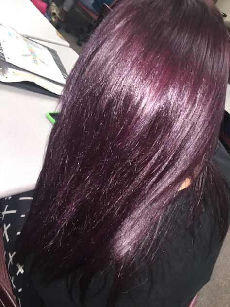 Plum Color Hair, Dark Purple Hair Aesthetic, Hair Dye Ideas Purple, Wine Purple Hair, Dark Purple Red Hair, Dark Dyed Hair, Aesthetic Hair Dye, Purple Hair Dark, Dark Red Purple Hair