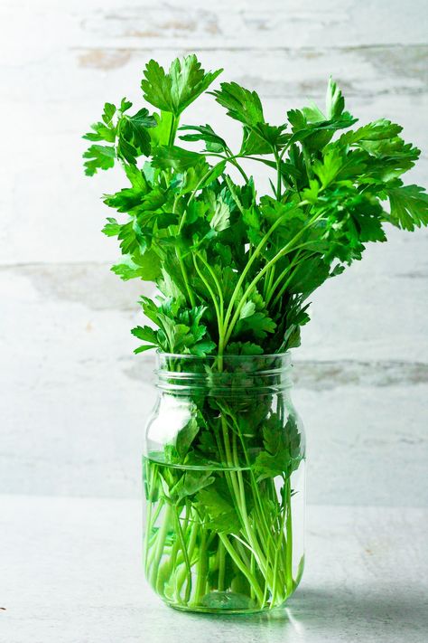 What To Do With Parsley Fresh Herbs, What To Do With Extra Parsley, Leftover Parsley Recipes, Ways To Use Fresh Parsley, What To Do With Fresh Parsley, Recipes That Use Parsley, Uses For Parsley, Recipes Using Parsley, Italian Parsley Recipes