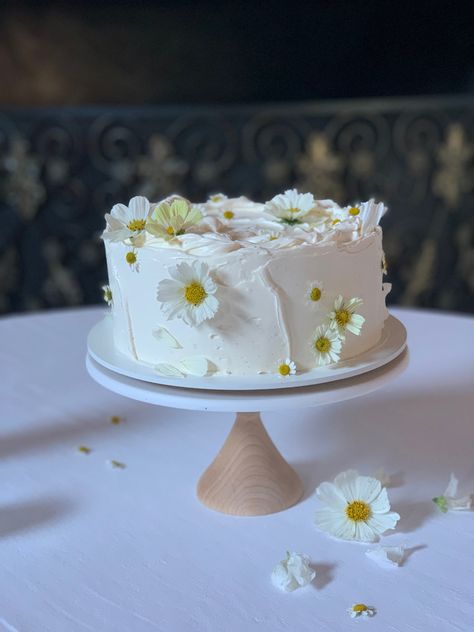 From simple and elegant to bold and beautiful, our cakes are perfect for your modern wedding! 🎂✨ Small Textured Wedding Cake, 10 Inch Round Wedding Cake, Dads 60th Birthday Cake, Modern Simple Wedding Cake, Simple Summer Wedding Cake, Wedding Cakes Simple Elegant Romantic, Simple Spring Wedding Cake, Small Wedding Cakes Simple, Simple Small Wedding Cakes