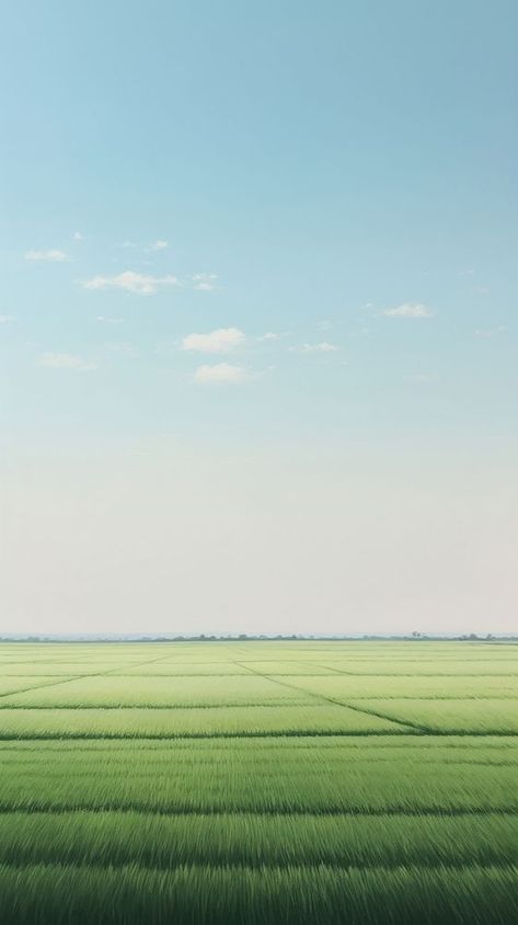 Rice field outdoors horizon nature. AI generated Image by rawpixel. | premium image by rawpixel.com Rice Field Architecture, Agriculture Background, Rice Field Background, Minimalist Iphone Wallpaper, Terraced Rice Fields, Farm Aerial View, Iphone Wallpaper Aesthetic, Rice Field, Minimalist Iphone