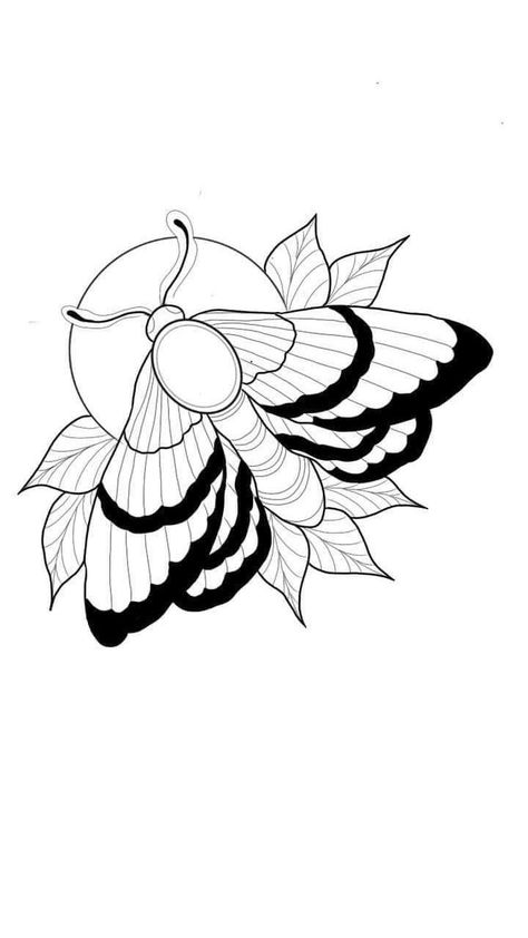 Bug Tattoo Outline, Line Work Moth Tattoo, Moth Outline Drawing, Tattoo Line Work Drawings, Simple Moth Tattoo Outline, Traditional Tattoo Stencils Outline, Practice Tattoo Designs For Beginners, Moth Outline Tattoo, Moth Tattoo Outline