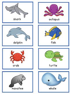 Water Animals Preschool, Sea Animals Preschool, Mercer Mayer Books, Ocean Theme Preschool, Animal Activities For Kids, Animal Flashcards, Animal Worksheets, Preschool Activities Toddler, Learning English For Kids