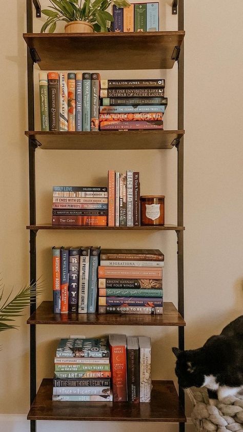 Room Decor For Readers, Bookshelf In Apartment, Simple Bookshelf Ideas, Cozy Bookshelf Aesthetic, Wooden Bookshelf Aesthetic, Bookshelf Inspiration Aesthetic, Book Cases Ideas, Vintage Book Shelf Aesthetic, Book Shelf Organization Ideas