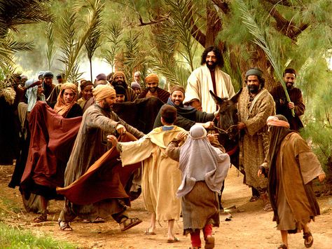 Free Bible images of Jesus riding triumphantly into Jerusalem on a donkey while the crowds wave palm branches and shout, ‘Hosanna’. Aviator Movie, Free Bible Images, Triumphal Entry, Jesus Wept, Gospel Of Luke, Why Jesus, The Aviator, Bible Images, Bible Pictures