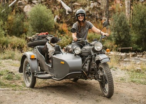 Becca and her sidekick exploring on their ural gear up. Ural Bike, Biker Dog, Ural Motorcycle, Military Motorcycle, Motorcycle Sidecar, Moto Vintage, Adventure Motorcycling, Moto Style, Motorcycle Girl