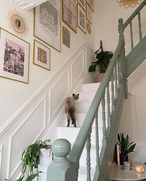 Card Room Green, Stairs And Hallway Ideas, Card Room, Hallway Makeover, Hallway Colours, House Staircase, Hallway Inspiration, Narrow Hallway Decorating, Room Green