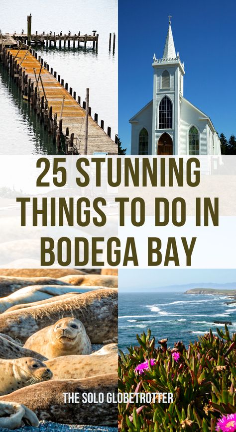 There are many incredible things to do in Bodega Bay on a weekend getaway with your loved ones.Secluded at the tail end of Sonoma Coast State Park and the splendid Pacific Coast Highway running right through the heart of town, Bodega Town cannot get prettier.Whether you are planning a weekend getaway to enjoy beaches with your kids, or planning to go even longer, in this post, we cover the best things to do in Bodega Bay, and the best places to stay. Things To Do In Bodega Bay, Bodega Bay California Things To Do, Bodega Bay California, Get Prettier, Northern California Road Trip, California Places To Visit, Northern California Travel, Best Family Beaches, California Pictures