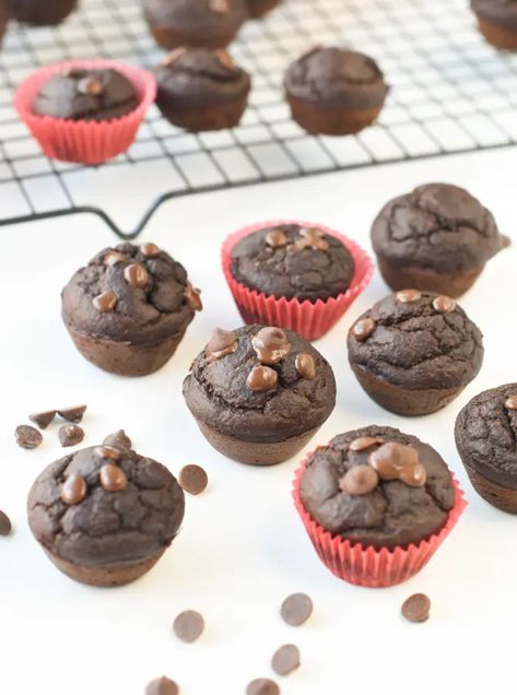 chocolate spinach muffins chocolate banana spinach muffins Chocolate Spinach Muffins, Muffins No Eggs, Banana Popsicle Recipes, Banana Breakfast Muffins, Kid Muffins, Vegan Healthy Snacks, Conscious Plant Kitchen, Healthy Chocolate Muffins, Vegan Banana Muffins