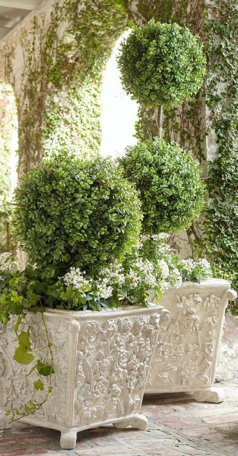 Plants Backyard, Truck Garden, Boxwood Garden, Trough Planters, Alpine Plants, Garden Types, French Garden, Window Boxes, Landscaping With Rocks