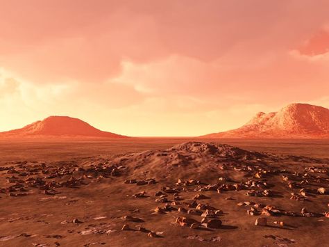 Martian Landscape Google Backgrounds, Mars Surface, Astronomy Pictures, One Step Beyond, Planets Art, Sunset Background, Landscape Photography Nature, Desert Sunset, Space Pictures