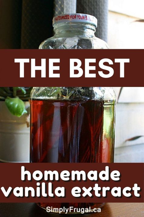 Try your hand at some homemade vanilla extract with this easy, 2 ingredient homemade vanilla extract recipe! Perfect for gift giving! Christmas Gift Homemade, Vanilla Extract Recipe, Grocery Savings Tips, Homemade Christmas Gift, Gift Homemade, Madagascar Vanilla Beans, Homemade Vanilla Extract, Vanilla Recipes, Homemade Condiments