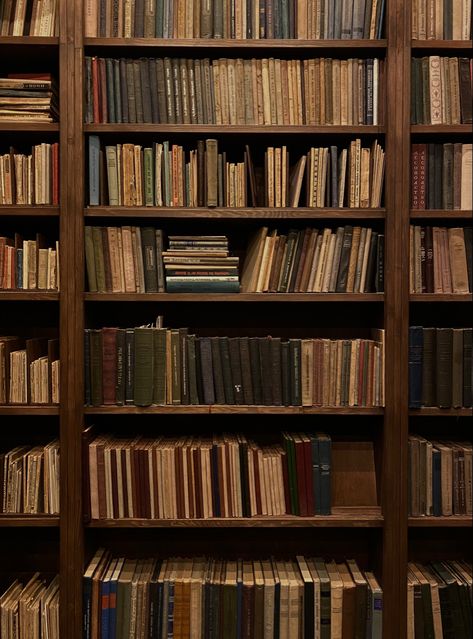 Smell Of Old Books, Fall Mood Board, Library Aesthetic, Books Aesthetic, Dark Academia Aesthetic, The Secret History, Academia Aesthetic, Brown Aesthetic, Autumn Aesthetic