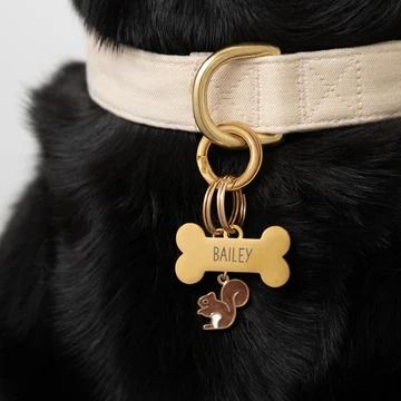 Dog Collar Charms | The Foggy Dog Dog Charms Collar, Foggy Dog, Pet Collar Charms, The Foggy Dog, Dog Collar Charms, Collar Accessory, Dog Charms, Gift Ideas For Everyone, Pet Collars