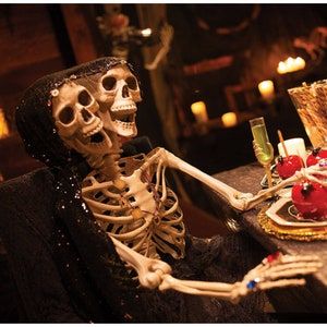 Two Headed Skeleton, Table Halloween Decor, Outdoor Witch, Halloween Entertainment, Halloween Pirates, Life Size Skeleton, Haunted Trail, Posable Skeleton, Halloween Themes Decorations