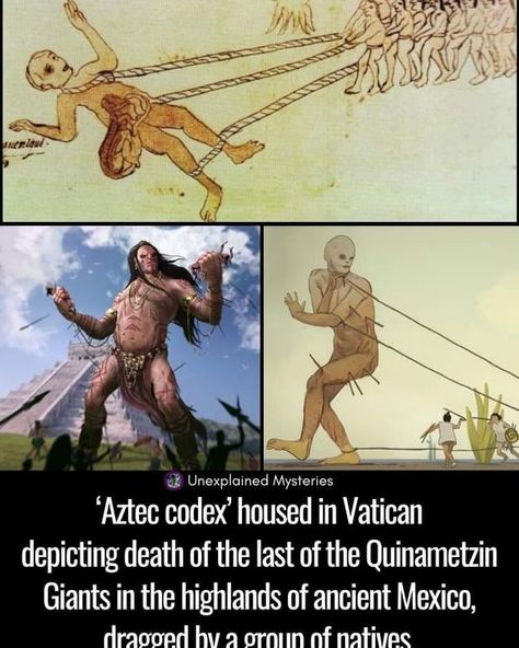 AncientKnowledge2023 Reptilian People, Nephilim Giants, Giant People, Ancient Indian History, Ancient Mexico, Aboriginal History, What The Fact, Ancient History Facts, Scary Facts