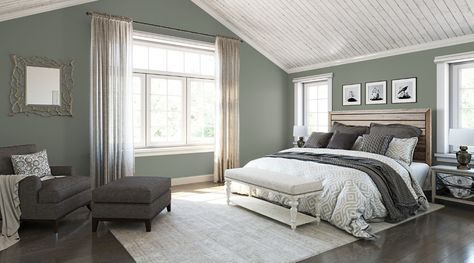 Bedroom Paint Color Ideas | Inspiration Gallery | Sherwin-Williams Acacia Haze Bedroom, Acacia Haze, Best Bedroom Paint Colors, Magnolia House, House Basement, Bedroom Paint Colors Master, Best Bedroom Colors, Bedroom Colour, Property Renovation